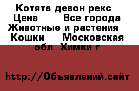 Котята девон рекс › Цена ­ 1 - Все города Животные и растения » Кошки   . Московская обл.,Химки г.